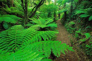 赛博豪鬼将作为皮肤回归《街霸5：冠军版》 9月21日正式上线